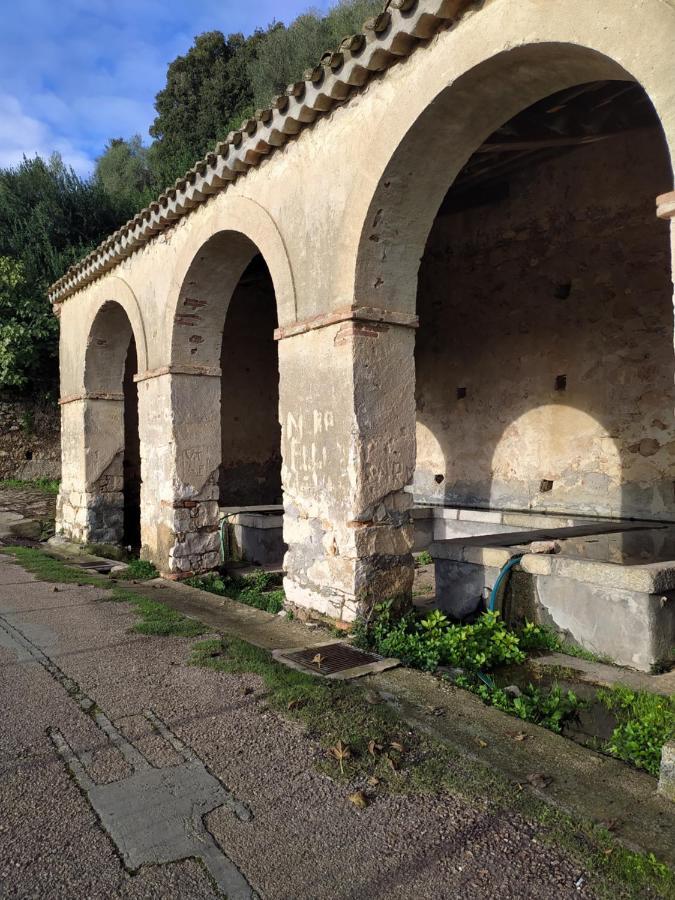 Steddueoro Bed & Breakfast Baunei Dış mekan fotoğraf